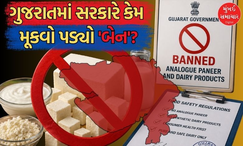 મહારાષ્ટ્ર બાદ ગુજરાત સરકારે પણ એનાલોગ પનીર પર મૂક્યો પ્રતિબંધ