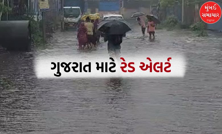 દક્ષિણ ગુજરાતમાં મેઘરાજાની તોફાની બેટિંગ: વાપી પાણી-પાણી, આગામી 3 કલાક આટલા જિલ્લા માટે અતિભારે!