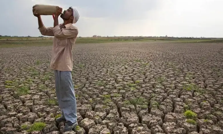 રાજ્યમાં 70 ટકા વરસાદ, પણ અમુક જિલ્લા તરસ્યાઃ   દેવભૂમિ દ્વારકા, પોરબંદર કચ્છ લગભગ કોરા, દસ જિલ્લામાં વરસાદની ઘટ