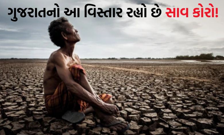 ગુજરાતના કયો જિલ્લો હજુ કોરોધાકોર, સિઝનનો એક ટકા વરસાદ પણ નથી પડ્યો