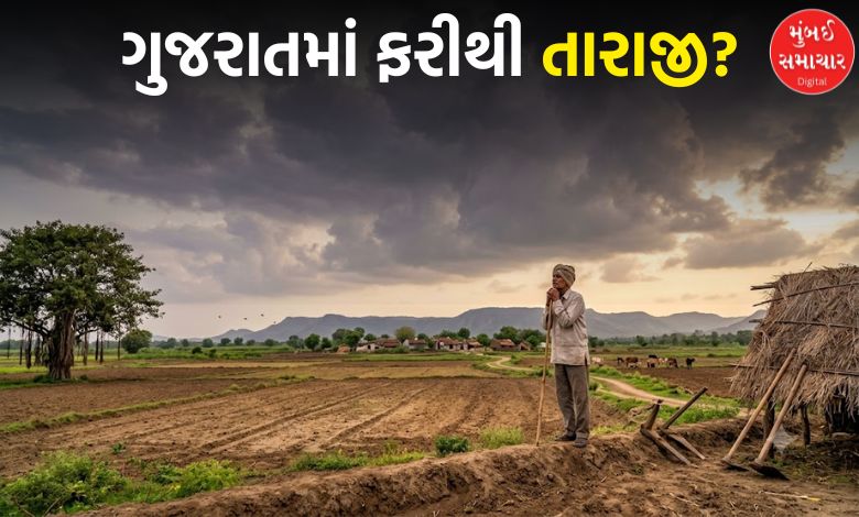 ગુજરાતમાં વરસાદ ખેંચાતા ખેડૂતો ચિંતિત! જાણો હવામાન વિભાગે કેવી આગાહી કરી?