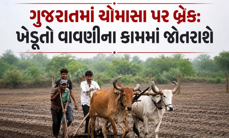ગુજરાતમાં ચોમાસા પર બ્રેક: આગામી 2-3 દિવસ વરાપ નીકળશે, ખેડૂતો ફરી વાવણી કરી શકશે