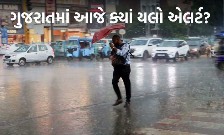 ગુજરાતમાં આજે ગાજવીજ સાથે વરસાદની આગાહી, અનેક જિલ્લામાં યલો એલર્ટ; 224 તાલુકામાં વરસાદ