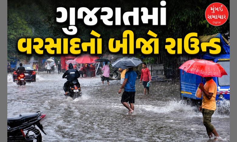 ગુજરાતમાં 4 સિસ્ટમ સક્રિય: રાજકોટમાં સૌથી વધુ વરસાદ, જાણો ક્યાં કેટલો ખાબક્યો