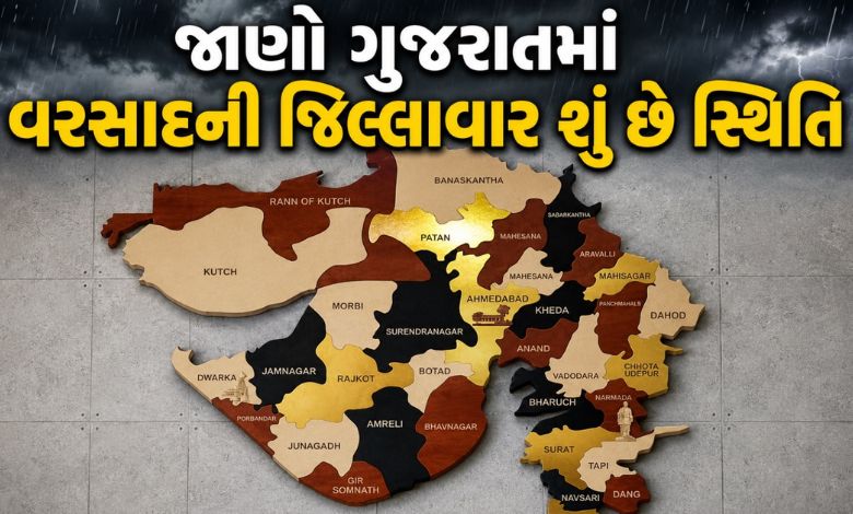 ગુજરાતના કયા 12  જિલ્લામાં સરેરાશથી વધુ વરસાદ, બાકીના જિલ્લામાં શું છે સ્થિતિ ?