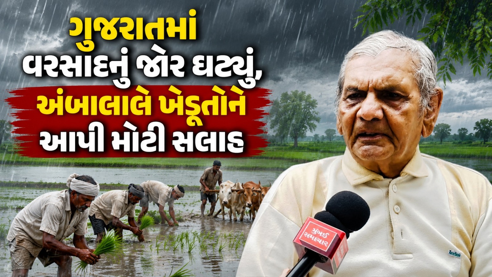 રાજ્યમાં 109 પૈકી 100 તાલુકામાં એક ઇંચથી ઓછો વરસાદ, જાણો અંબાલાલે ખેડૂતોને શું આપી સલાહ