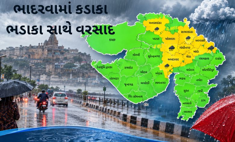 ભાદરવો ભરપૂર: છેલ્લા 24 કલાકમાં 150 તાલુકામાં વરસાદ, માળીયામાં 5 ઇંચ વરસાદથી પાણી પાણી