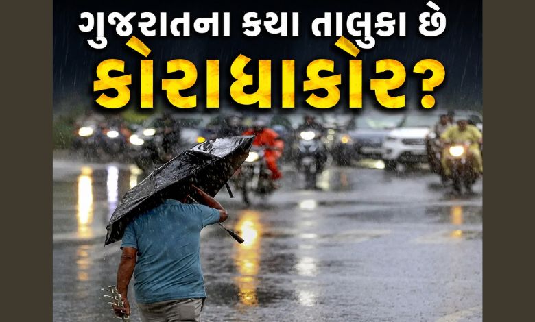 રાજ્યમાં સિઝનનો 26 ટકાથી વધુ વરસાદ છતાં કયા 4 તાલુકા છે કોરાધાકોર?