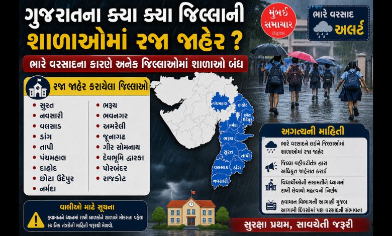 ગુજરાતના ક્યા ક્યા જિલ્લાની શાળાઓમાં ભારે વરસાદના કારણે રજા જાહેર ?