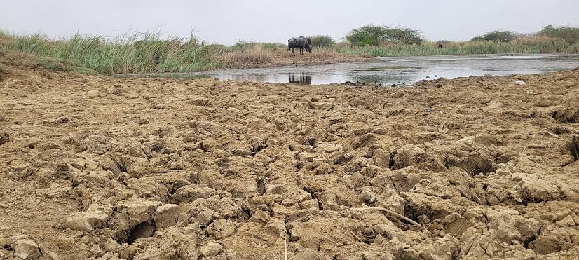 ચોમાસાના દોઢ માસ બાદ પણ કચ્છમાં મેઘમહેરનો અભાવ: ૪૫ ટકા વરસાદની ઘટથી ચિંતા