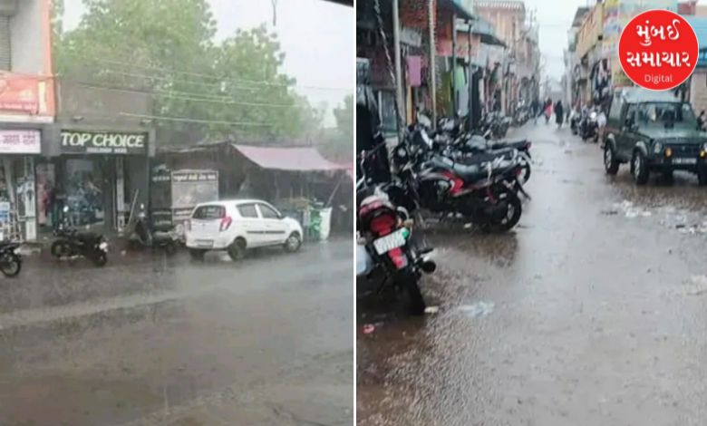 અબડાસા અને નખત્રાણામાં મેઘમહેર: એક ઈંચ સુધી વરસાદથી પાકને મળ્યું નવજીવન