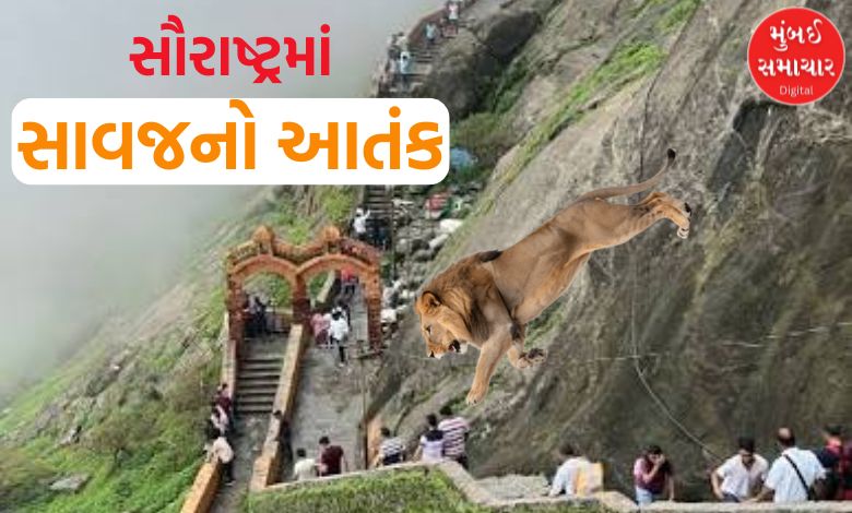ગિરનાર ચઢતા છોકરાને સિંહ ખેંચી ગયો ને ફાડી ખાધો, જંગલમાંથી માત્ર હાડકાં મળ્યાં