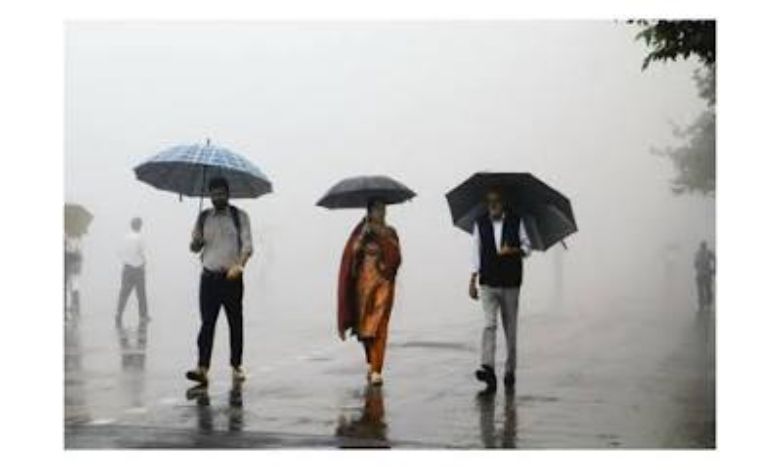 ગુજરાતમાં ચોમાસું ફરી થયું સક્રિય,  ઉત્તર ગુજરાતના આ વિસ્તારમાં ખાબક્યો સૌથી વધુ વરસાદ