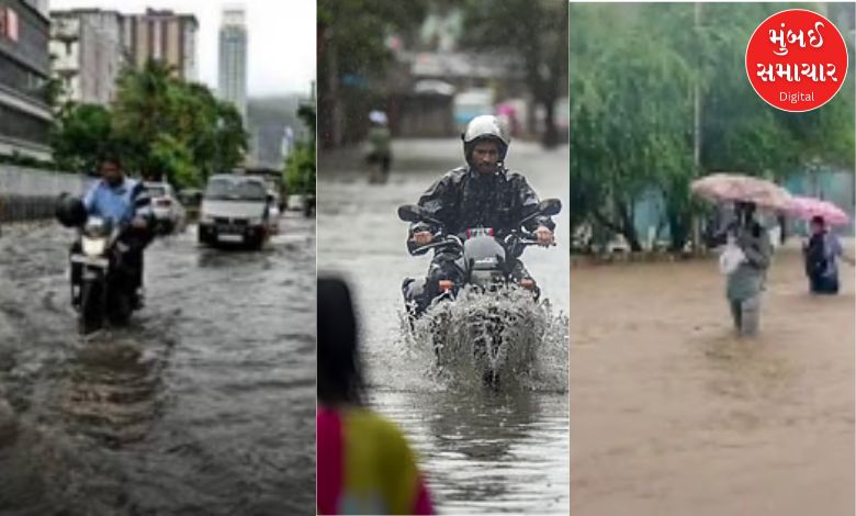 સુરતમાં ભારે વરસાદથી પાણી જ પાણી, સંખ્યાબંધ ઝાડ પડવાના કોલ આવતા તંત્ર દોડતું થયું