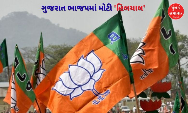 ભાજપ યુવા મોરચામાં મોટા ફેરફારની તૈયારી: નવા અધ્યક્ષ પદ માટે ત્રણ નેતા રેસમાં