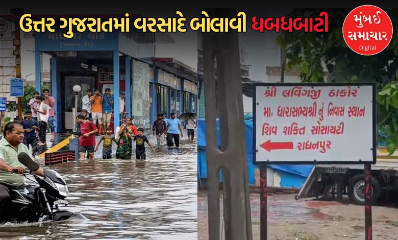 ઉત્તર ગુજરાતમાં મેઘતાંડવ: રાધનપુરમાં 9 ઇંચ વરસાદ, MLA લવિંગજીના ઘરે પાણી ભરાયા