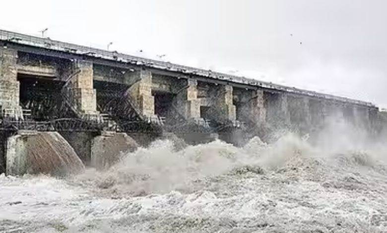 રાજકોટના મોટાભાગના ડેમ અડધાથી વધારે ખાલી, હજુ પણ વરસાદની ઘટી