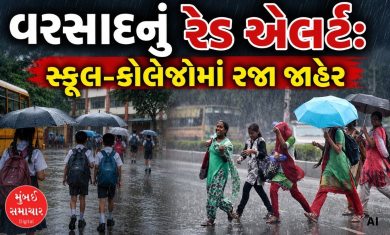 વરસાદના રેડ એલર્ટ વચ્ચે રાજ્યમાં કઈ જગ્યાએ આવતીકાલે સ્કૂલ-કોલેજોમાં જાહેર કરવામાં આવી રજા ?