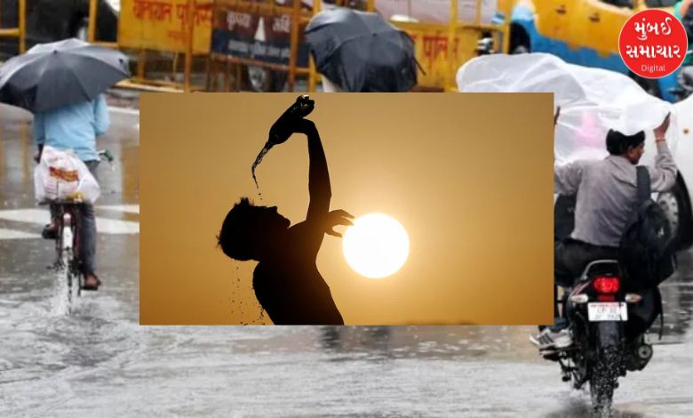 માંડવીમાં ઝરમર વરસાદ વચ્ચે ઉકળાટ વધ્યો: પશ્ચિમ કચ્છમાં જળસંકટ ઘેરાવાના એંધાણ