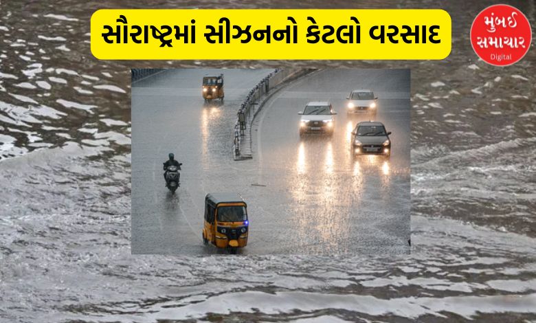 સૌરાષ્ટ્રમાં સીઝનનો 28 ટકા વરસાદ, એક જિલ્લામાં દેમાર 44 ટકા તો એક જિલ્લામાં 1 ટકા પણ વરસાદ નહીં !