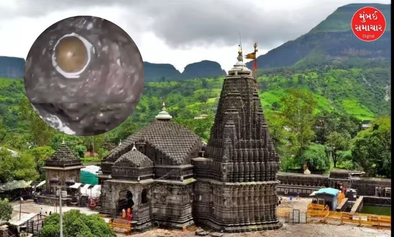 ત્ર્યંબકેશ્વર મંદિરમાંથી મળી આવ્યું દુર્લભ શિવલિંગ, શ્રાવણ મહિના પહેલા અદ્ભુત સંયોગ!