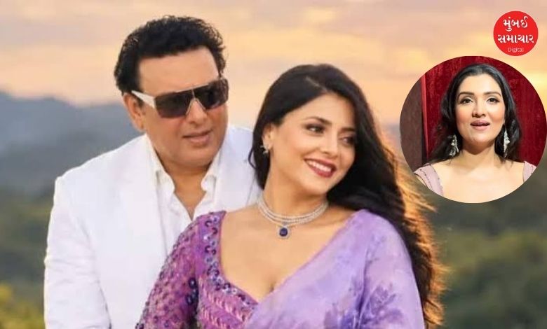 ગોવિંદાના અફેરની ચર્ચા વચ્ચે દીકરી ટીના આહુજા ભડકી, પાપારાઝીનું શું કહ્યું?