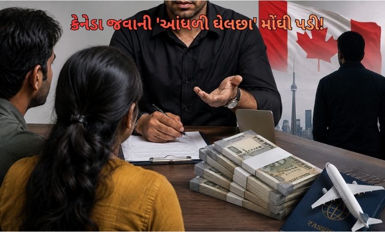 વડોદરામાં કેનેડા જવાના નામે મહાઠગાઈ: 18 લોકો પાસેથી રૂ. 2.30 કરોડ ચાઉં કરનાર એજન્ટ સામે ફરિયાદ