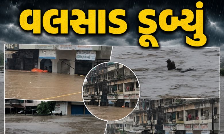 વલસાડના ઉમરગામમાં એક જ દિવસમાં 36 ઇંચ વરસાદથી આખું શહેર ડૂબ્યું