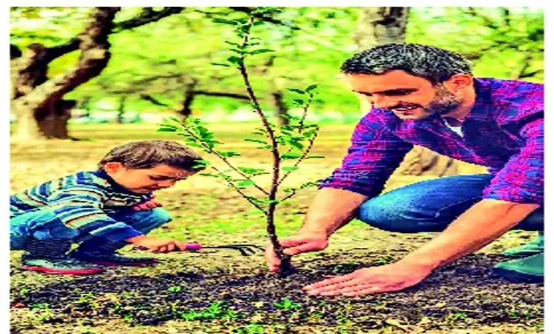 મગજ મંથનઃ વૃક્ષારોપણનો ફોટો એક દિવસ માટે યાદ રહે છે, પરંતુ ઉછેરેલું વૃક્ષ પેઢીઓ સુધી યાદ રહે છે