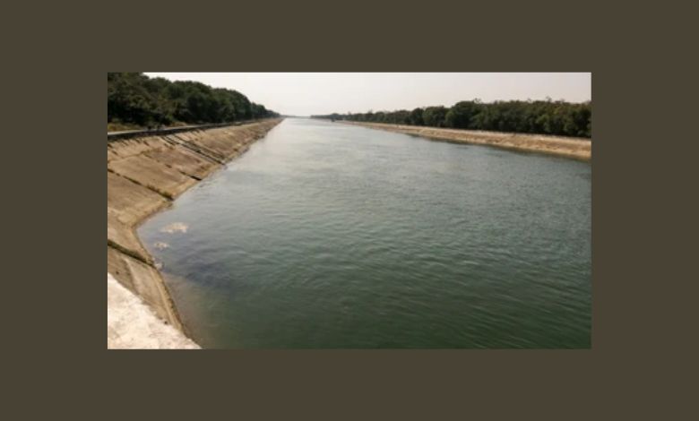 કડી પાસે નર્મદા કેનાલમાંથી મળી લાશ, યુવતીને મારી નાંખીને પથ્થર બાંધીને ફેંકી દેવાયેલી