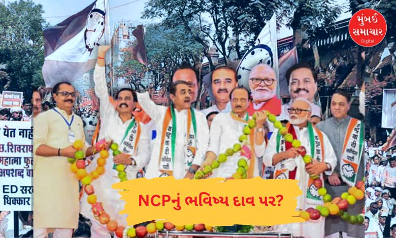 અજિત પવારના નિધન પછી એનસીપીનું ભવિષ્ય દાવ પર: