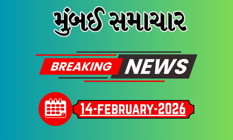 બ્રેકિંગ ન્યૂઝ :