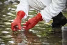 ઇન્દોરના ભાગીરથપુરામાં દૂષિત પાણીની અસરથી બીમાર વ્યક્તિઓ અને દુઃખી પરિવારની પ્રતિકાત્મક તસવીર.